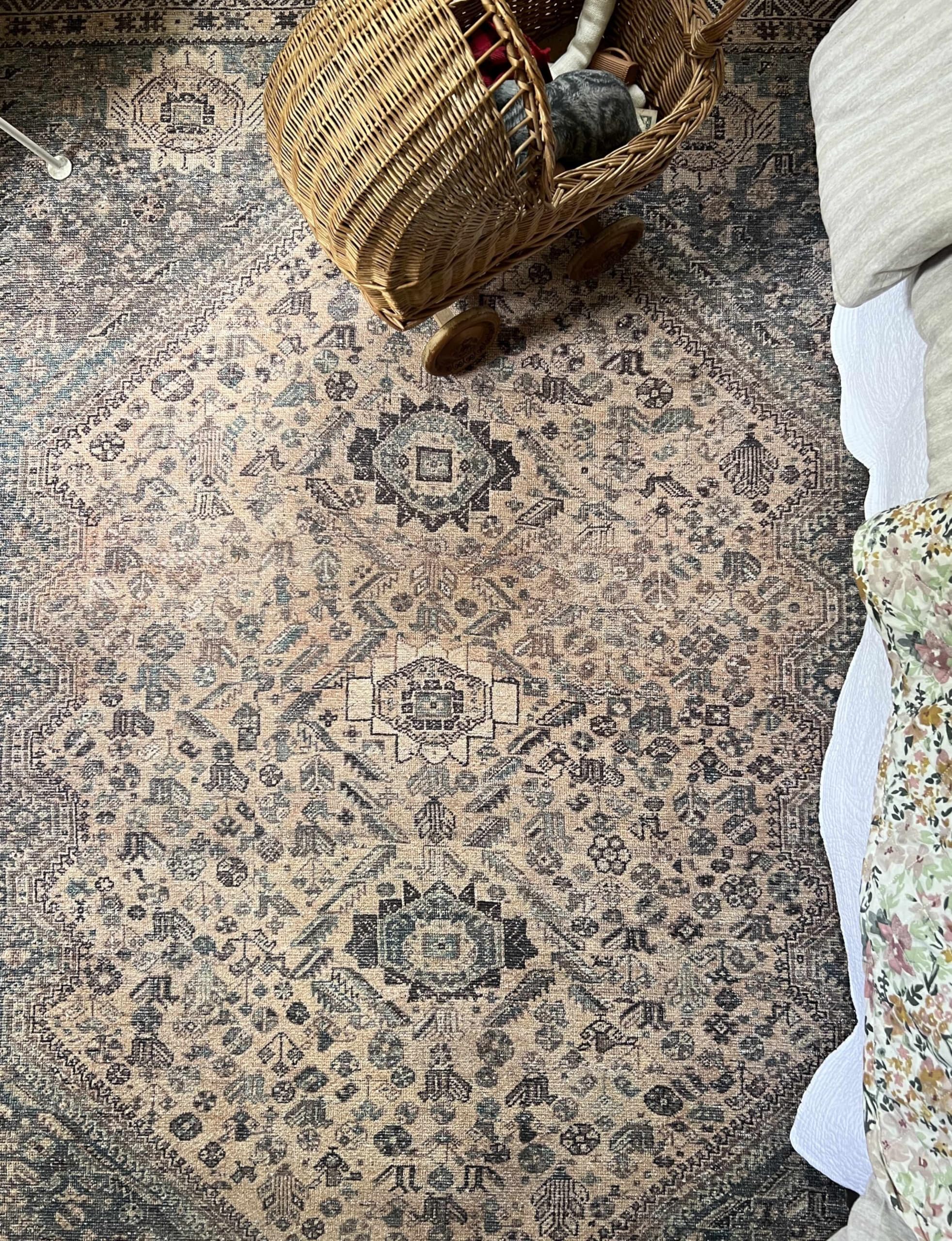 Northview Traditional Blue & Brown Machine Washable Area Rug 6'7