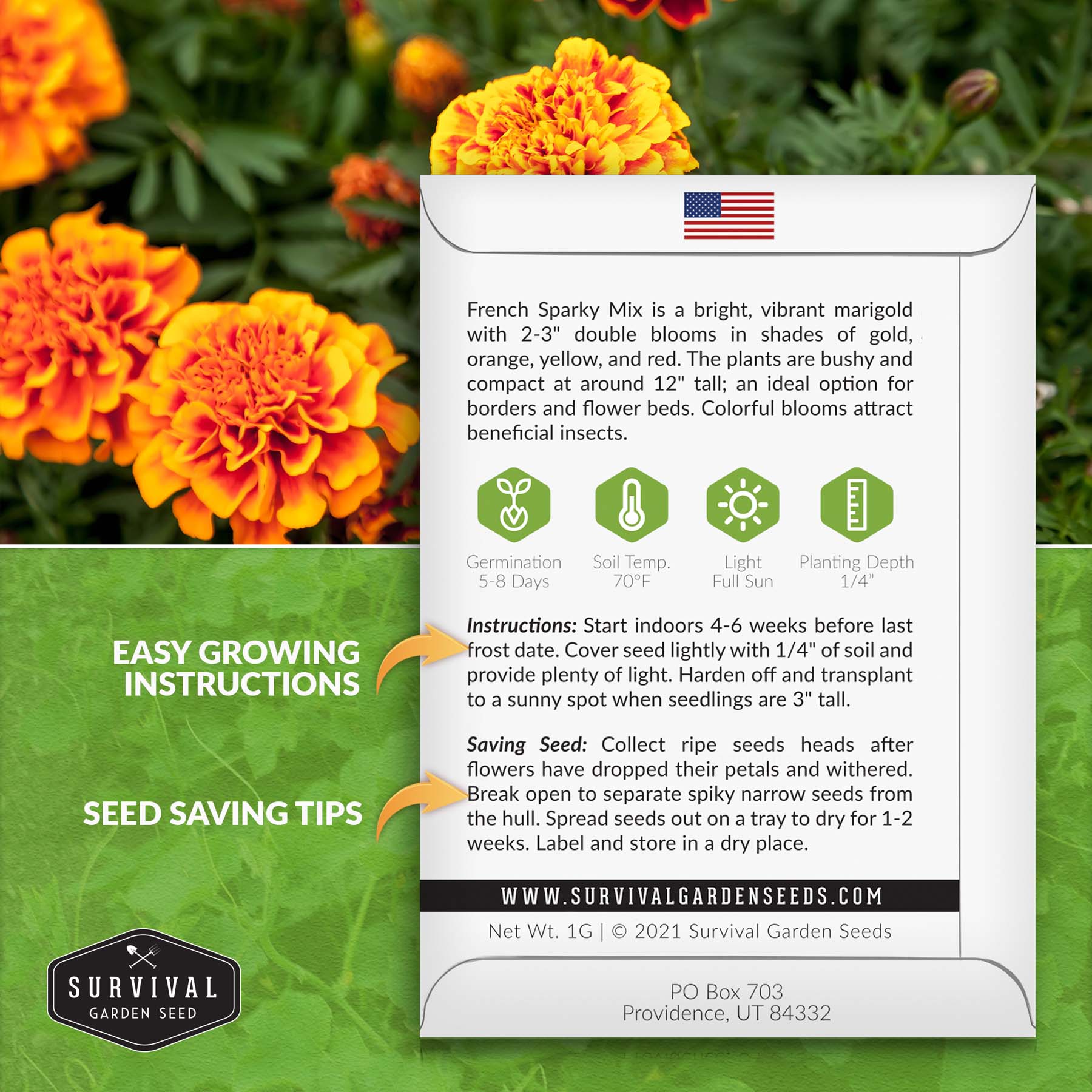 French Sparky Mix Marigold Seeds - Vibrant Orange & Yellow Flowers for Garden Beds, Borders & Containers - Perfect for Pollinator Gardens & Cut Flower Arrangements