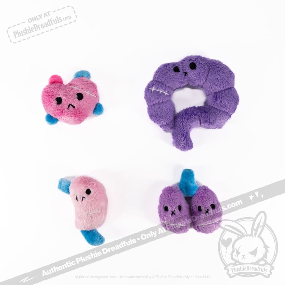 Plushie Dreadfuls Bone Organizer Bunny - Soft Stuffed Animal Toy for Kids, Cute Plush Bunny with Organ Pouch - Perfect for Halloween Decor, Bedroom Cuddling & Gift Giving