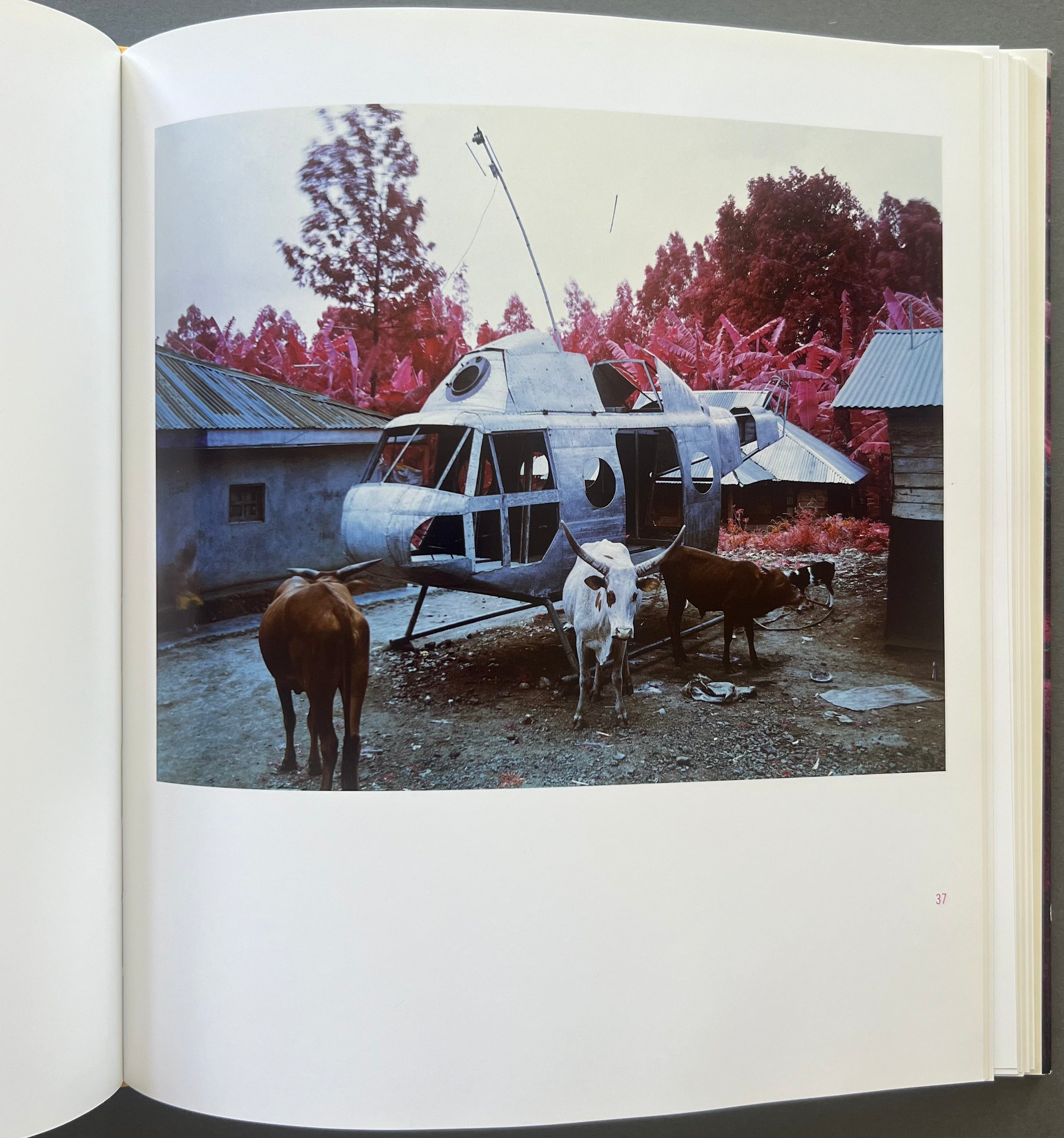 Infra by Richard Mosse - Signed Copy | Limited Edition Photography Book | Perfect for Art Collectors & Photography Enthusiasts