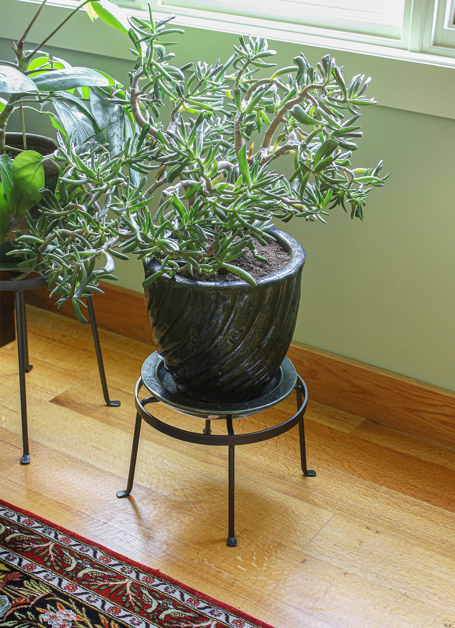 Stylish Argyle Plant Stands Set of 2 - Modern Indoor/Outdoor Flower Pot Holder by Achla Designs - Perfect for Home Decor, Patio, Garden & Living Room
