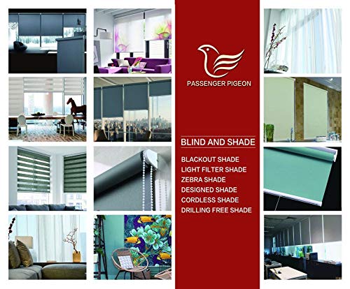 Premium Blackout Roller Shades - Cordless UV Protection Window Blinds 60