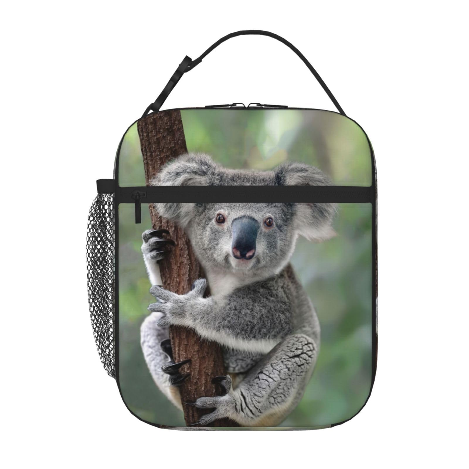 Insulated Reusable Koala Lunch Box - Cute Animal Design Lunch Bag for Men, Women, Teens & Kids | Portable Cooler Tote for Office, School, Travel & Picnics | BPA-Free & Leak-Proof Lunchbox