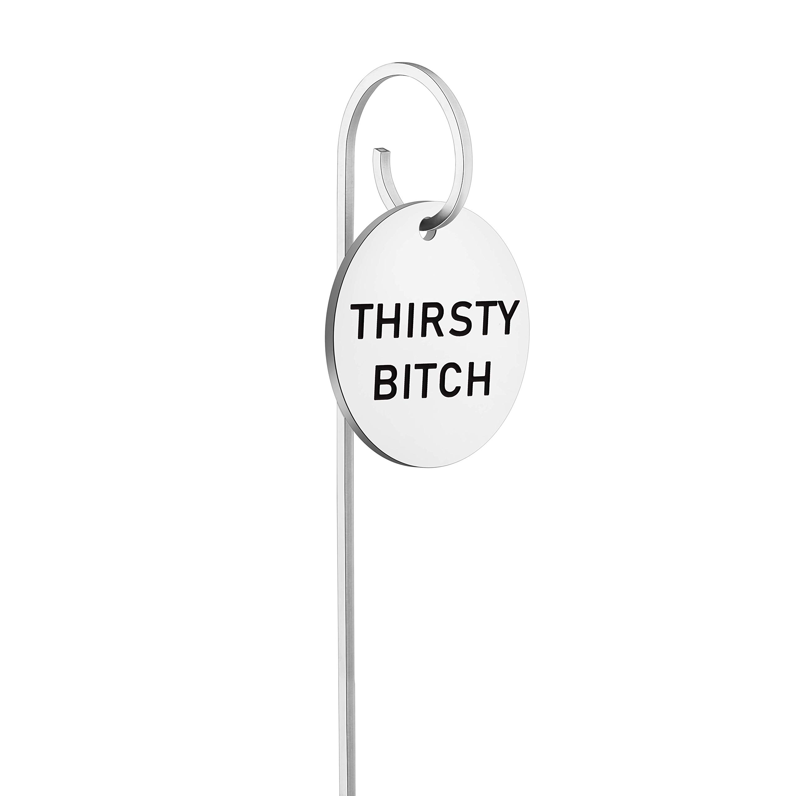 TIIMG Funny Thirsty Bitch Planter Pot Markers - Outdoor Garden Art Plant Labels for Herbs, Vegetables & Flowers - Perfect Gardening Gift for Women & Plant Lovers (Set of 6)