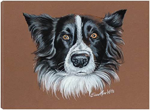 Gunner Border Collie