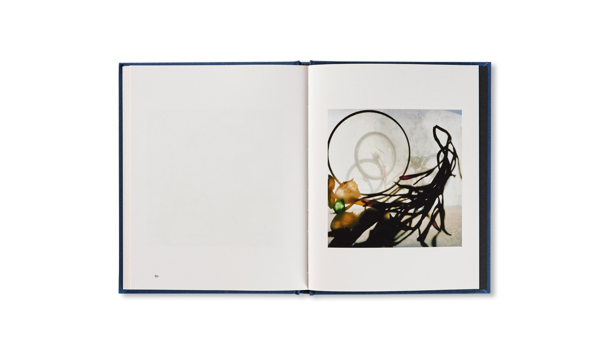 OUTSIDE IN by Stephen Gill - Photography Book for Art Lovers, Perfect for Home Decor & Gift Ideas