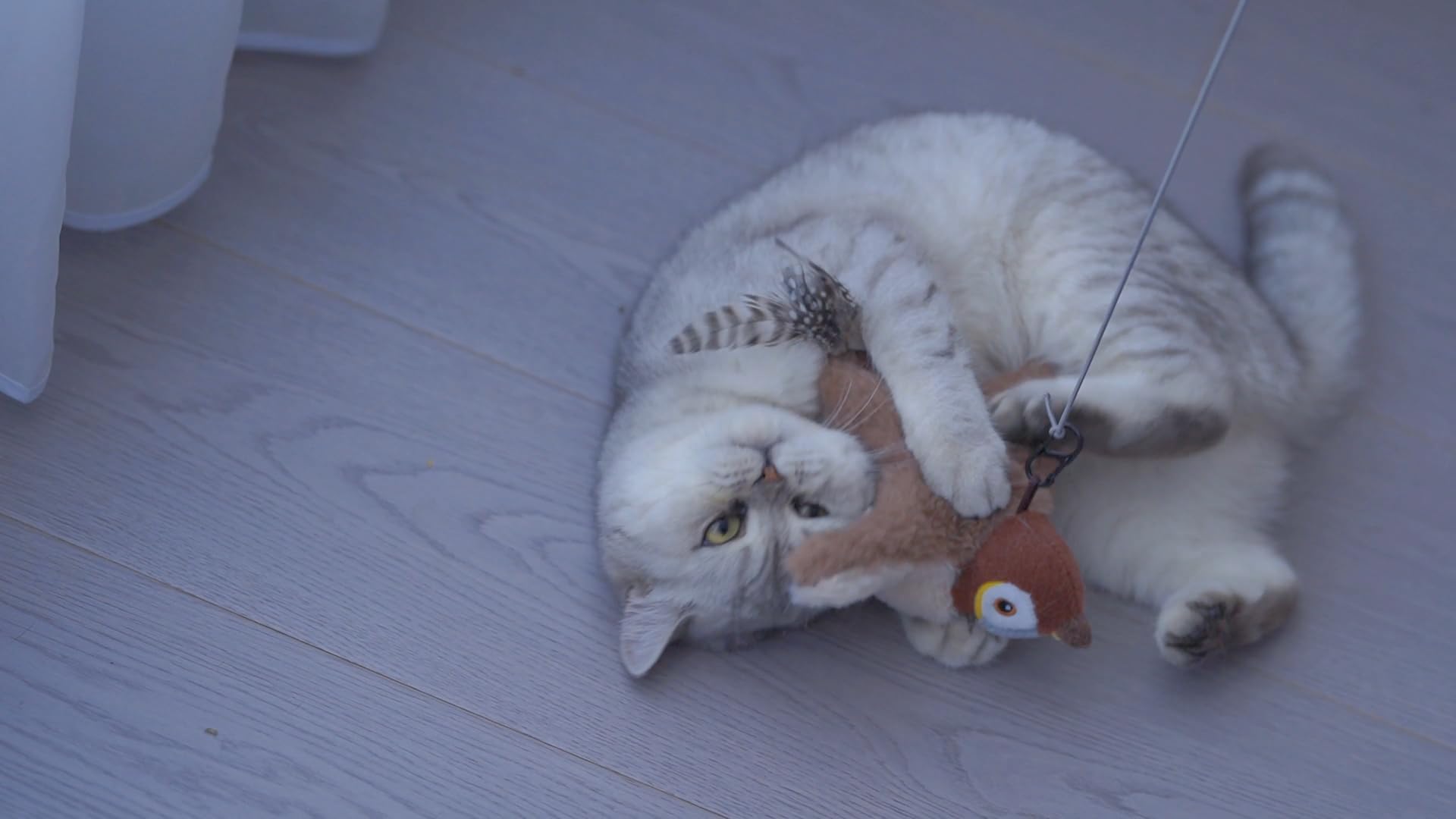 Flappy Bird Cat Toy for Indoor Cats - Interactive Chirping Flapping Wings with Catnip - Plush Sparrow Kitten Exercise Toy for Play & Hunting Simulation - Perfect for Boredom Relief & Active Playtime (Brown)