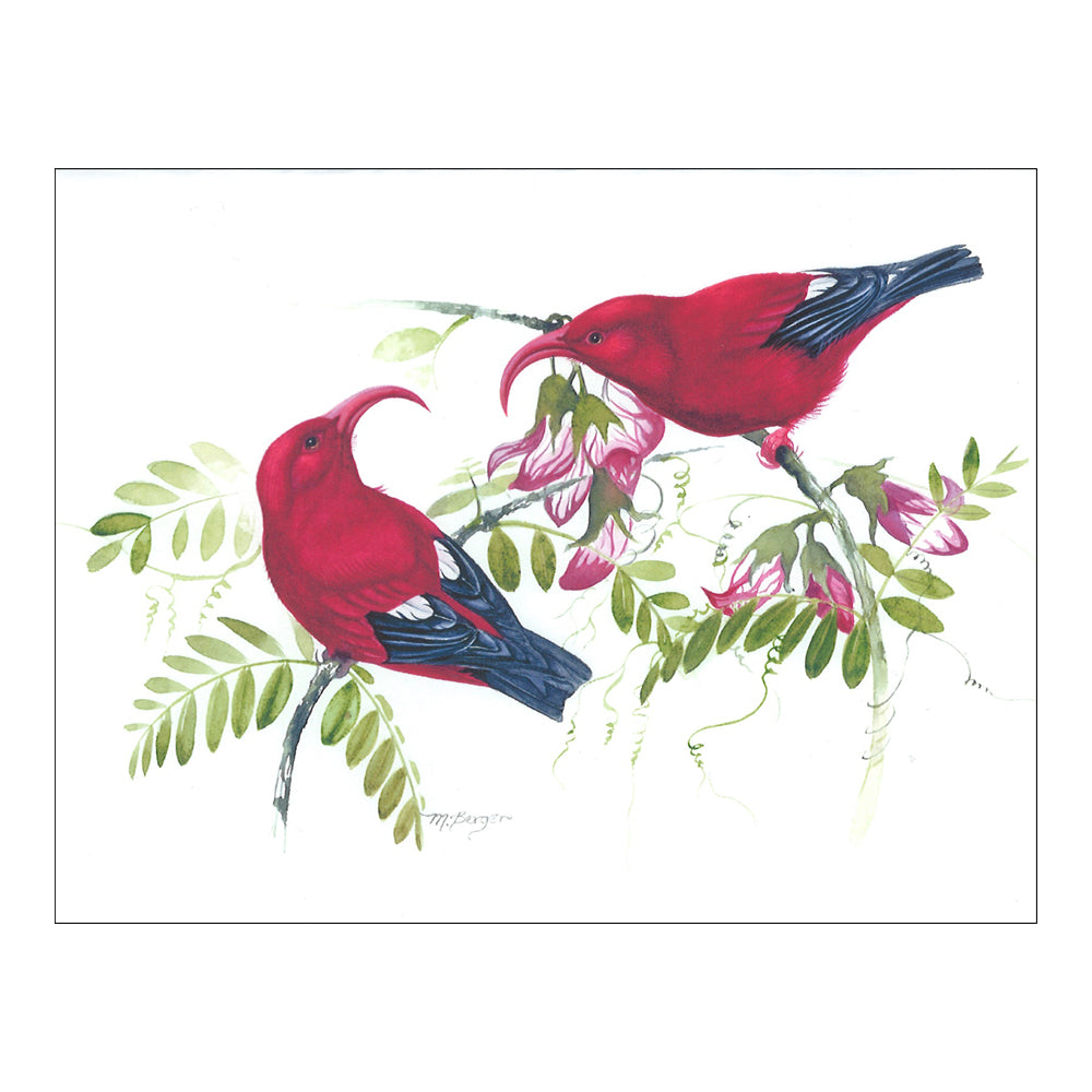 Iʻiwi Bird Notecards - Hawaiian Honeycreeper Greeting Cards with Vibrant Tropical Flowers | Perfect for Thank You Notes, Birthday Cards & Hawaiian Themed Stationery