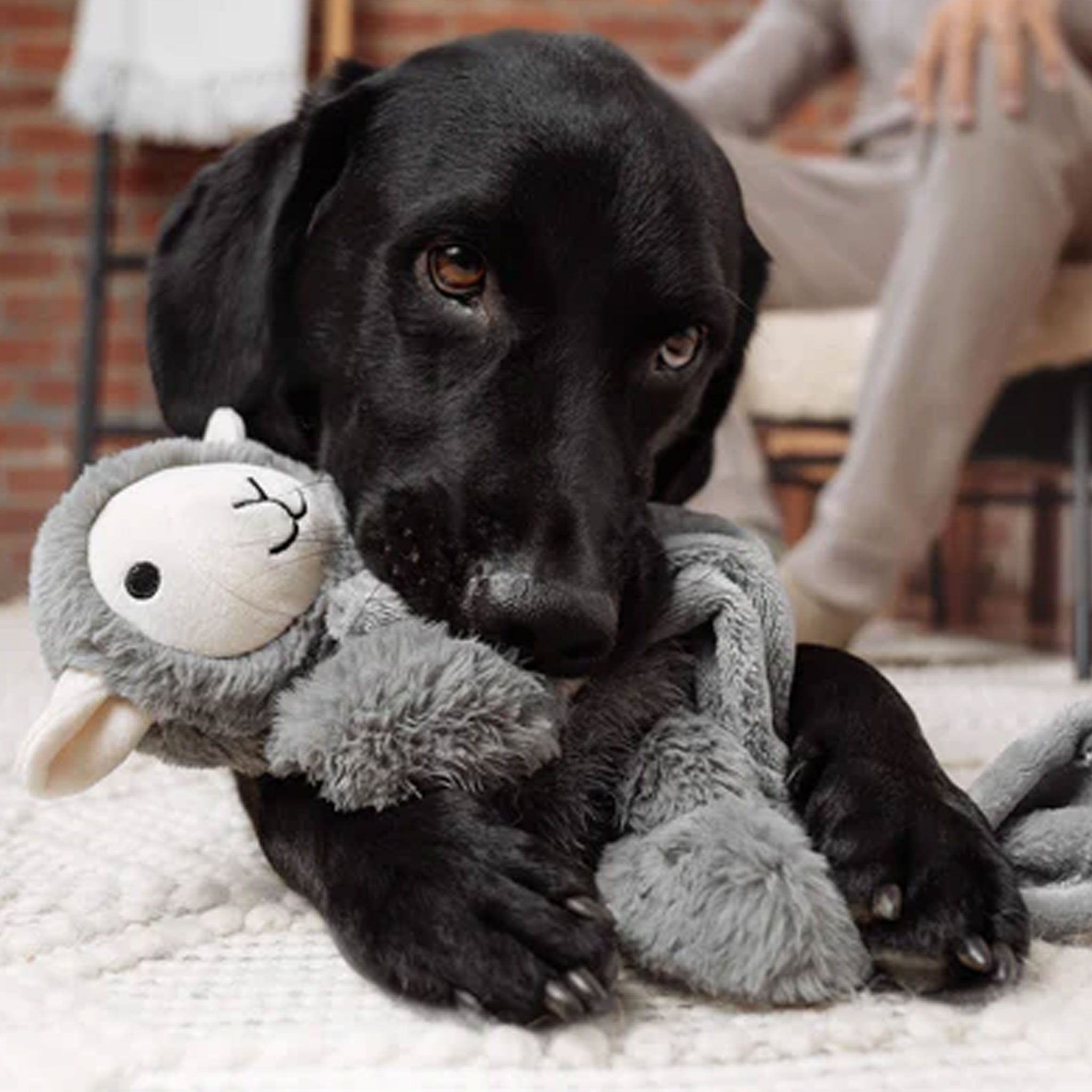 Canada Pooch Weighted Dog Toy - Grey Anxiety Relief Chew Toy for Large & Small Dogs - Perfect for Calming Nervous Pets During Storms, Travel & Separation Anxiety
