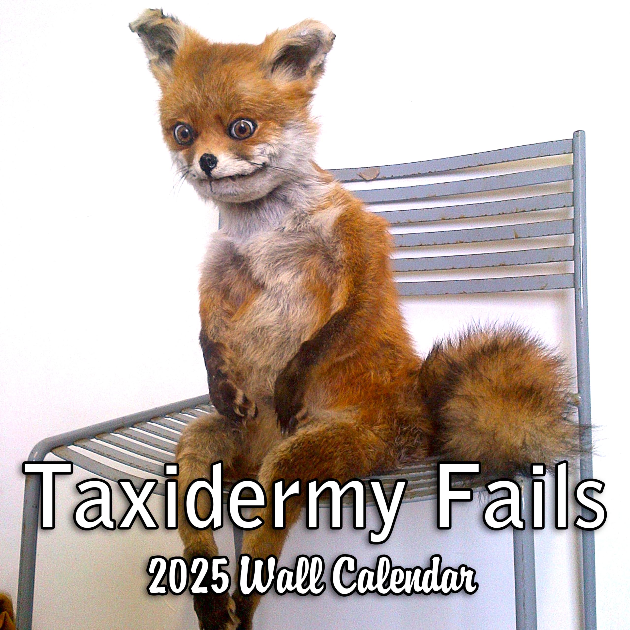 2025 Taxidermy Fails Wall Calendar - 12