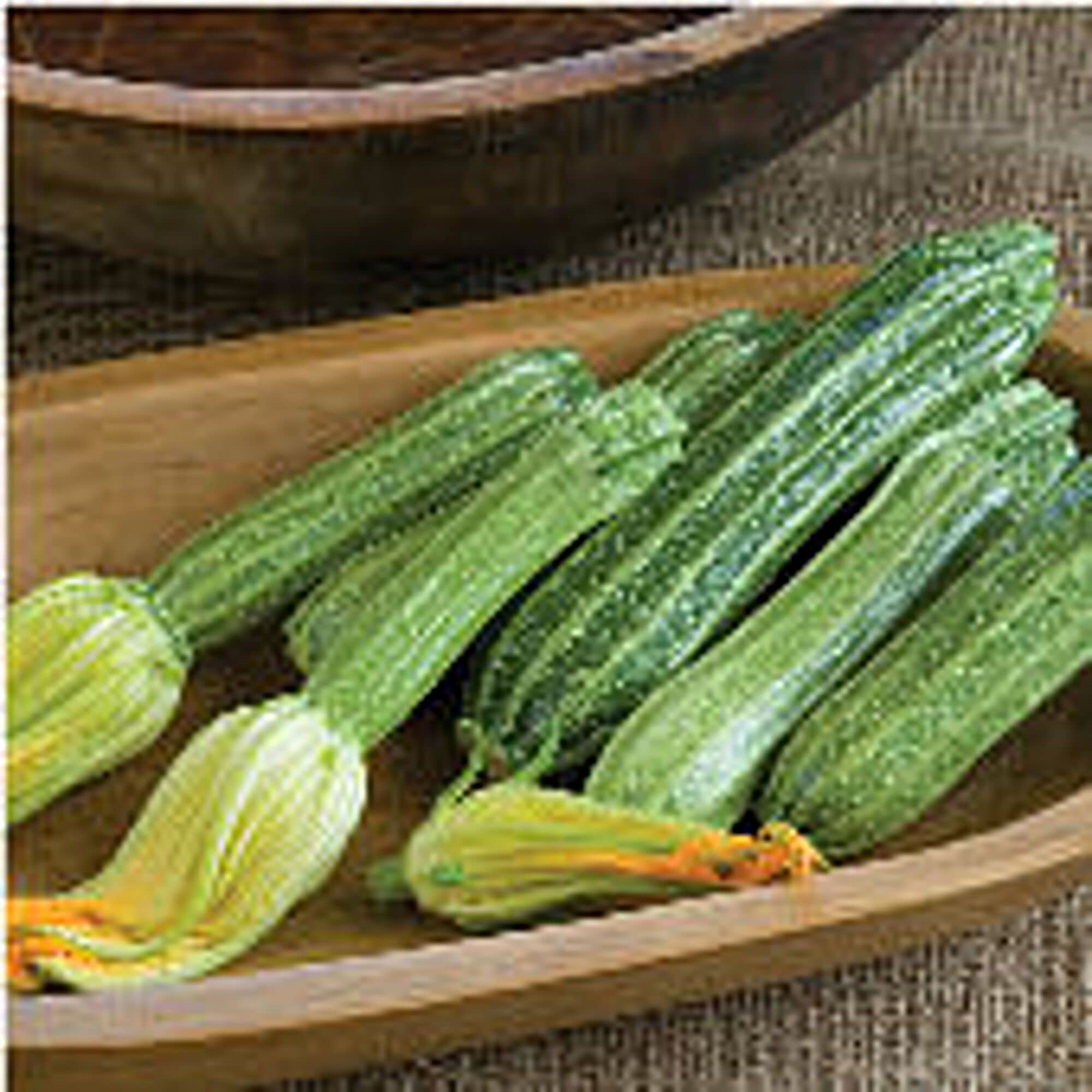 Organic Romanesco Squash Seeds (20+ Seeds) - Non-GMO Heirloom Vegetable Seeds for Planting | Home Garden, Greenhouse & Outdoor Farming | Perfect for Soups, Roasting & Healthy Recipes