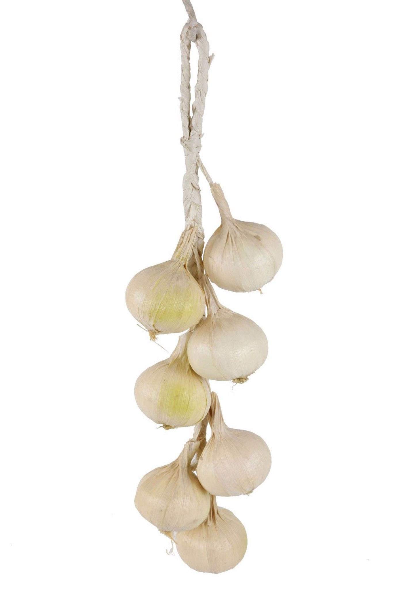 Flora Bunda 7-Piece Braided Artificial White Onion Strand - Fake Decorative Onions on String for Kitchen Decor, Rustic Home Decor, and Farmhouse Style Displays