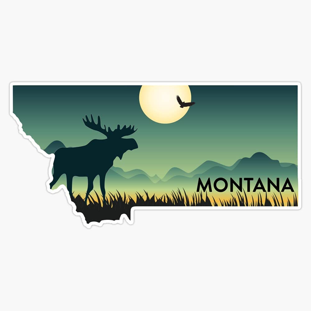 Montana Vinyl Decal - Durable Wall & Laptop Sticker Set of 5 | Waterproof Bumper Stickers for Cars, Laptops, Windows | Perfect for Home Decor, Office, School & Gifts (RDB-USA-STICKERS-0053)
