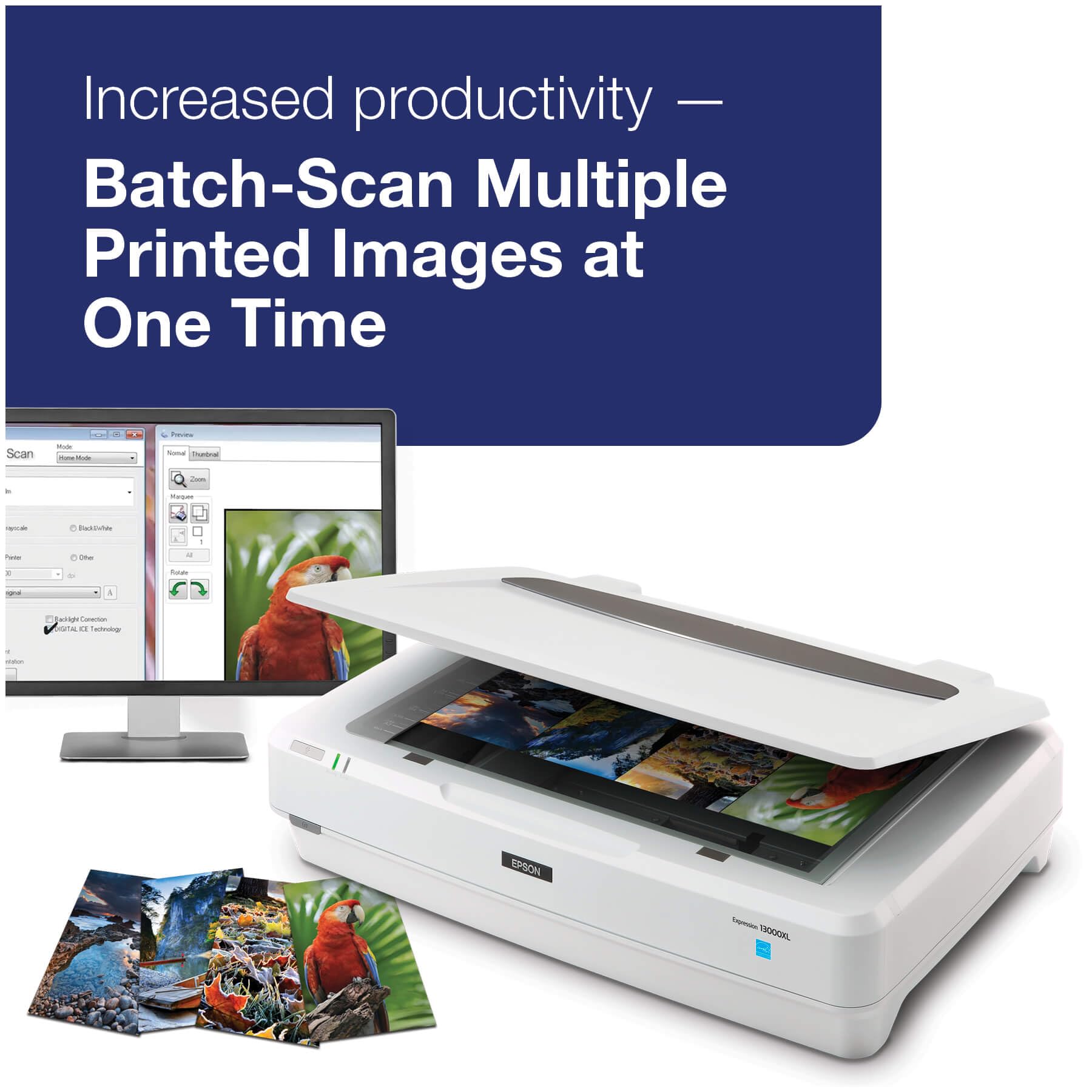 Epson Expression 13000XL High-Resolution Flatbed Scanner for Archival Photos & Graphics | Perfect for Professional Photography, Document Digitizing & Graphic Design