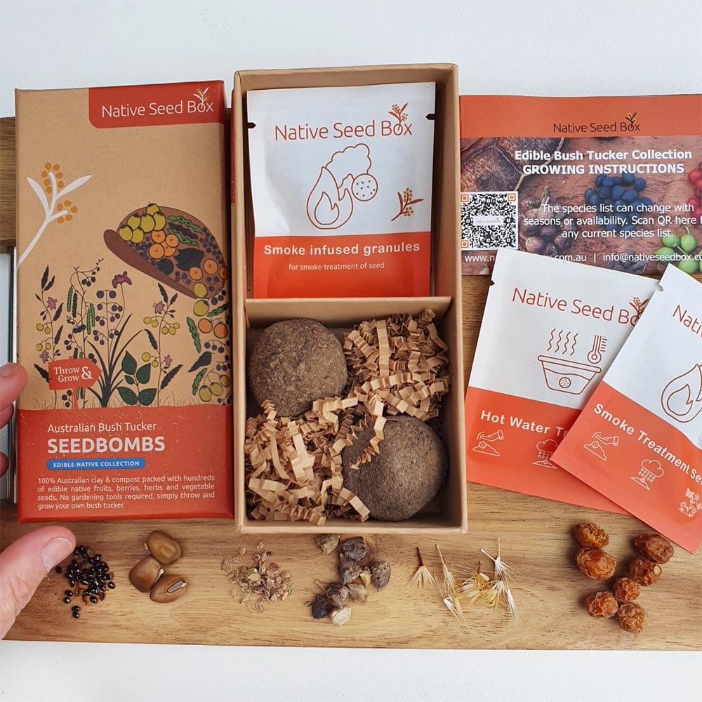 Native Seed Box Seed Bomb Collections - Wildflower & Herb Seed Bombs for Eco-Friendly Gardening, Pollinator Gardens & DIY Landscaping