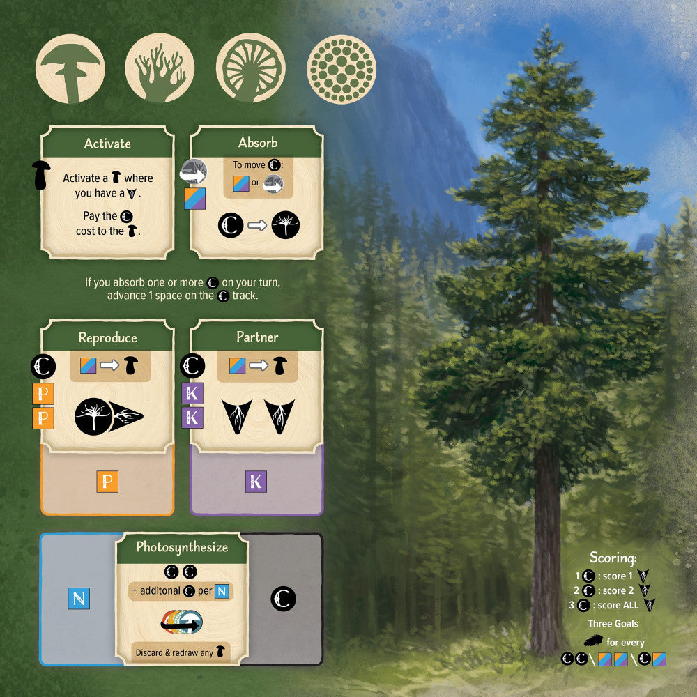 AEG: Undergrove Forest Fungi Strategy Board Game - Fun Family Game for Nature Lovers & Strategy Enthusiasts - Perfect for Game Nights & Educational Play