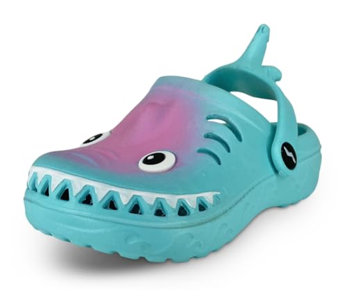 Turquoise Shark