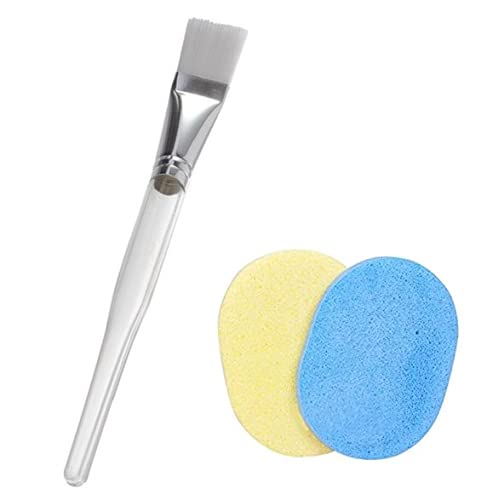Plastic Brush and Sponge Brush