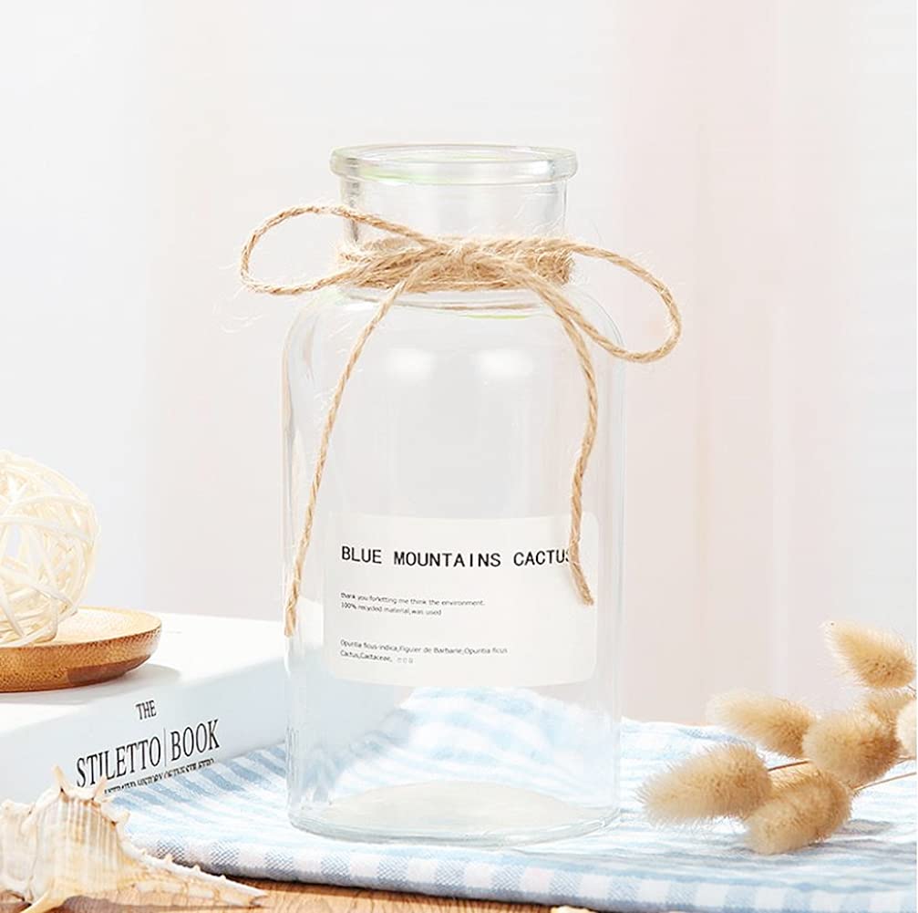 1PC Glass Bud Vase Set - Clear Apothecary Jars for Wedding Centerpiece & Home Decor