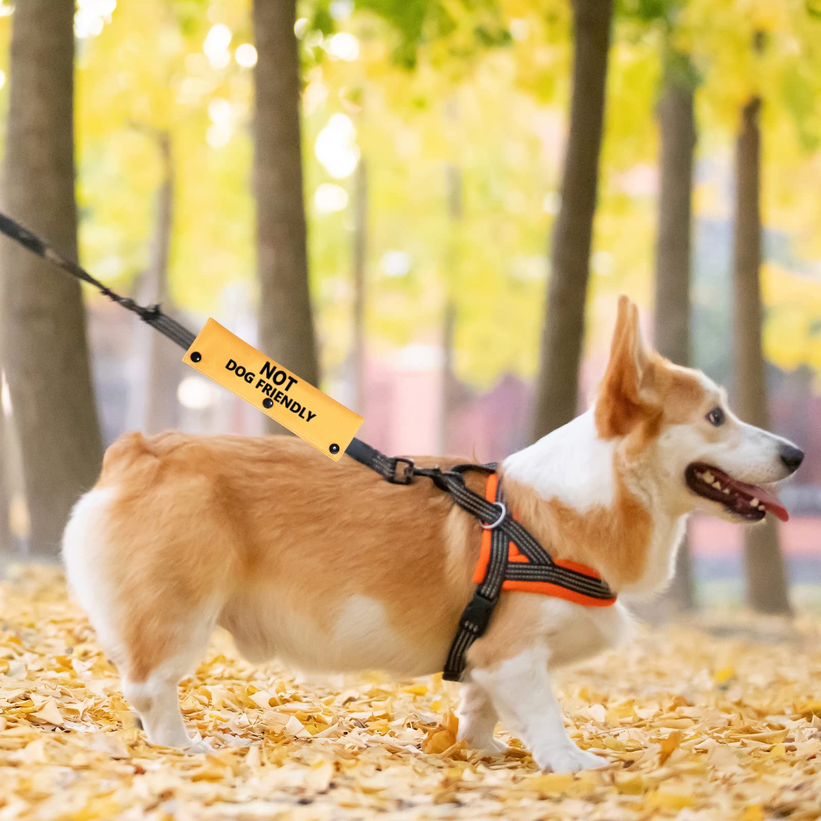 PWHAOO Handler Need Space Leash Wrap - Non-Dog Friendly Sleeve for Rescue & Anxious Dogs - Calming Leash Cover for Nervous Pets - Perfect for Walks, Training & Public Outings