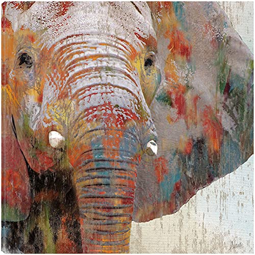 Paint Splash Elephant
