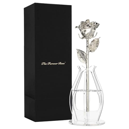 Silver Dipped Rose (With Phantom Vase & Bloom Box)