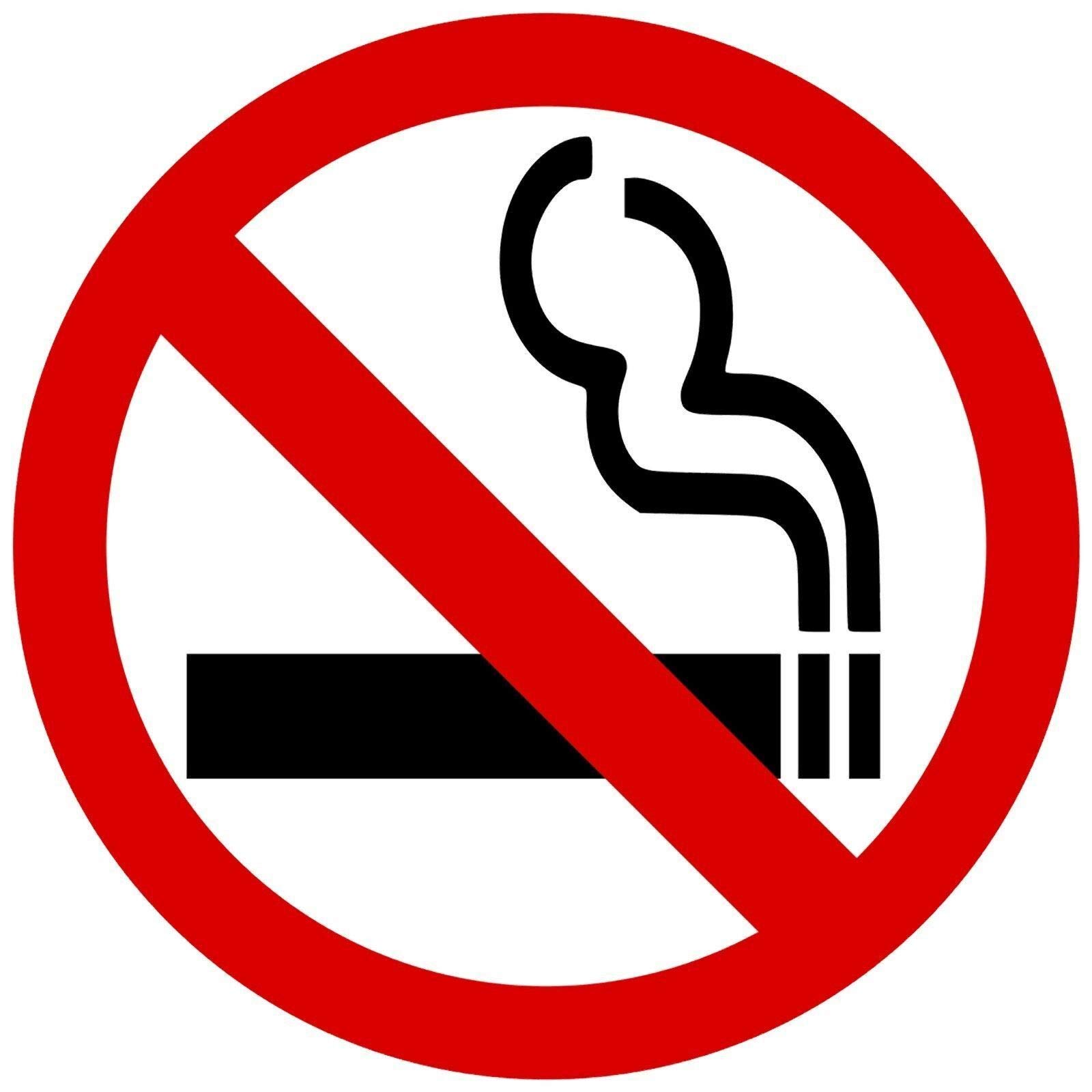 No Smoking Vinyl Stickers - Premium Quality Waterproof Decals for Car Bumper, Laptop, Windows & All Surfaces | Indoor & Outdoor Use for Home, Office, Vehicles & Public Spaces