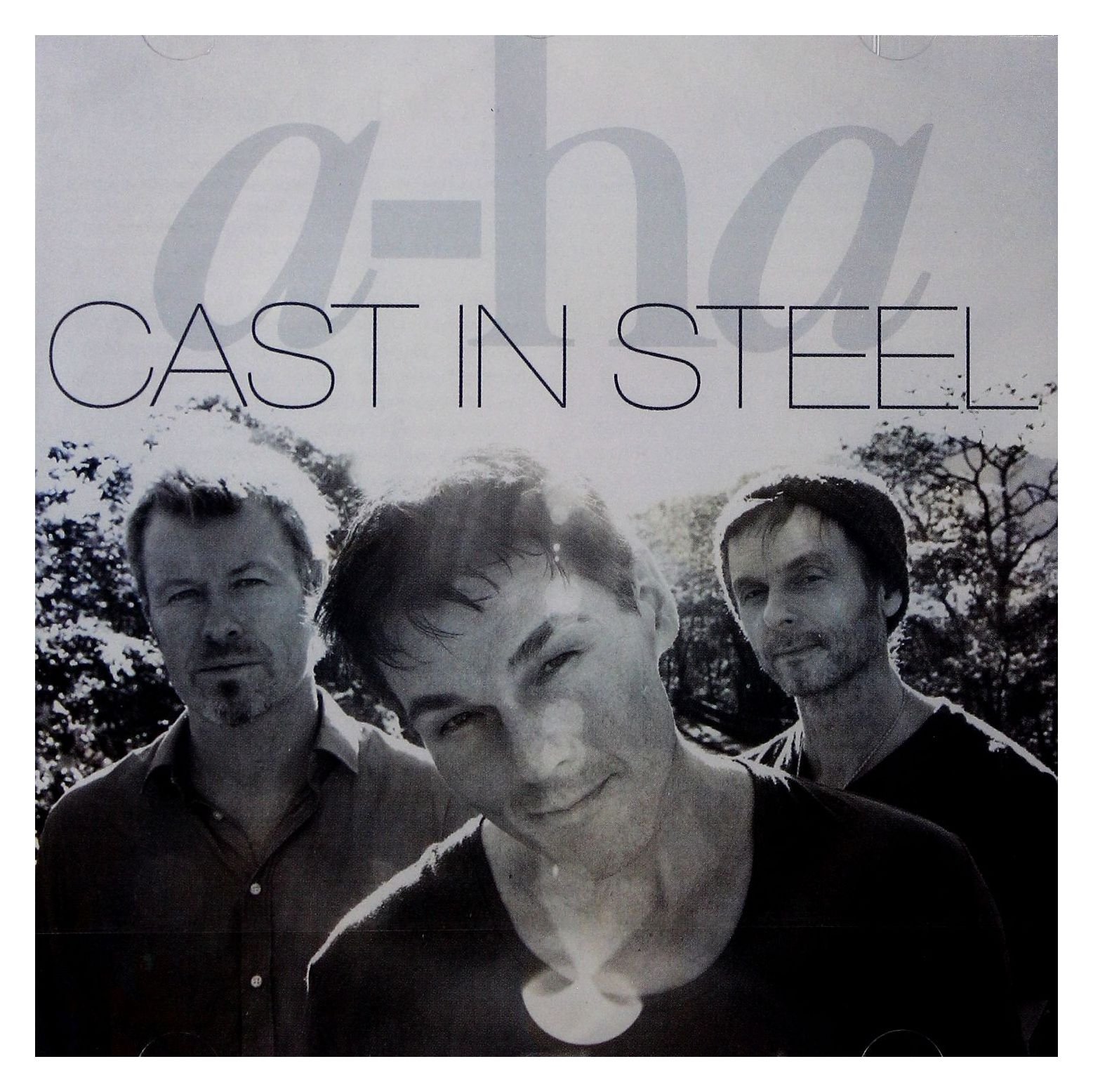 Cast In Steel - Premium Durable Metal Products for Home & Industrial Use | Heavy-Duty Construction, DIY Projects & Outdoor Decor