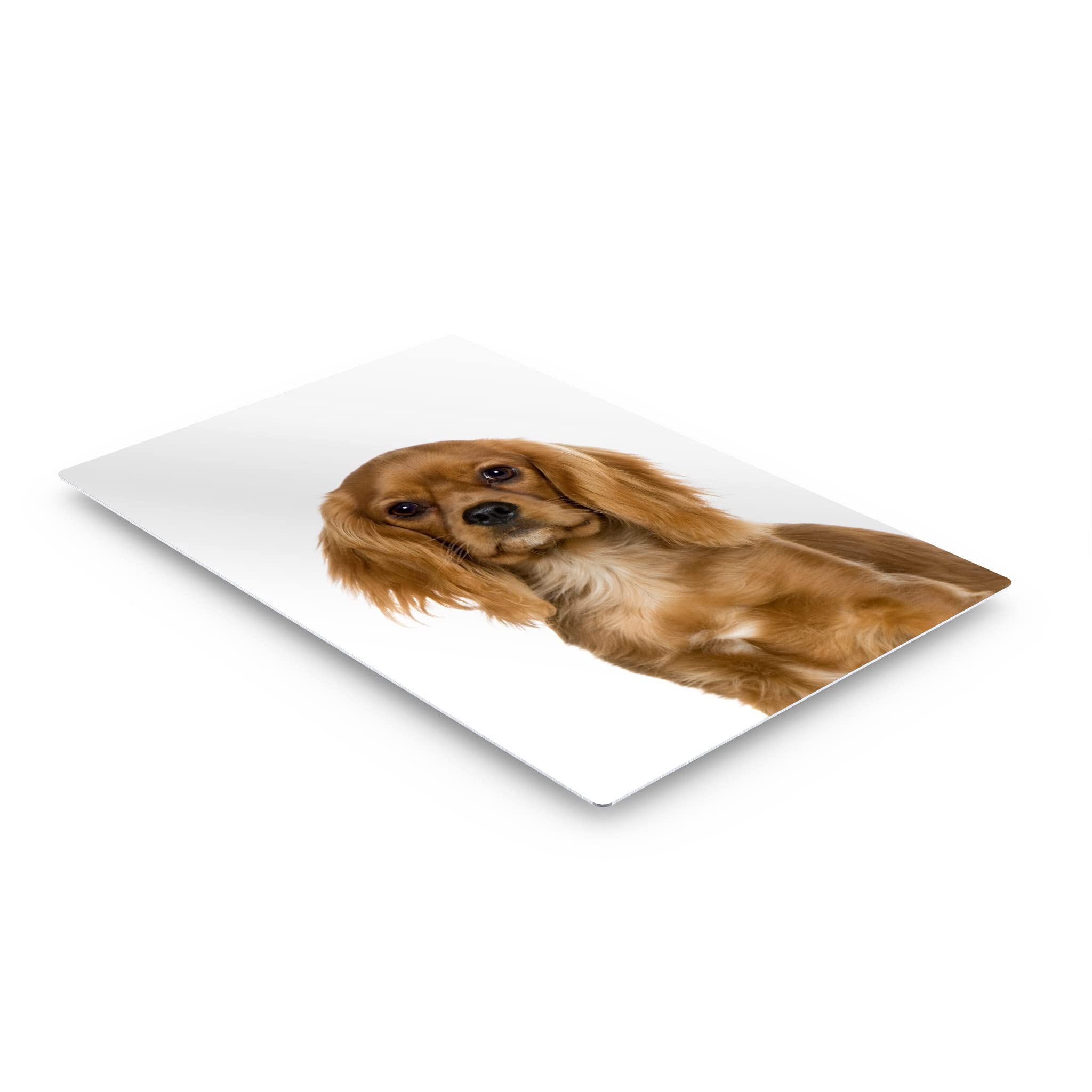 Cavalier King Charles Spaniel Dog Portrait Metal Wall Art - Pet Lover Gift for Mom, Dad, Dog Owners - 40x30 Inch Home Decor for Living Room, Bedroom, Nursery - Made in USA | Perfect for Housewarming, Birthday & Holiday Presents