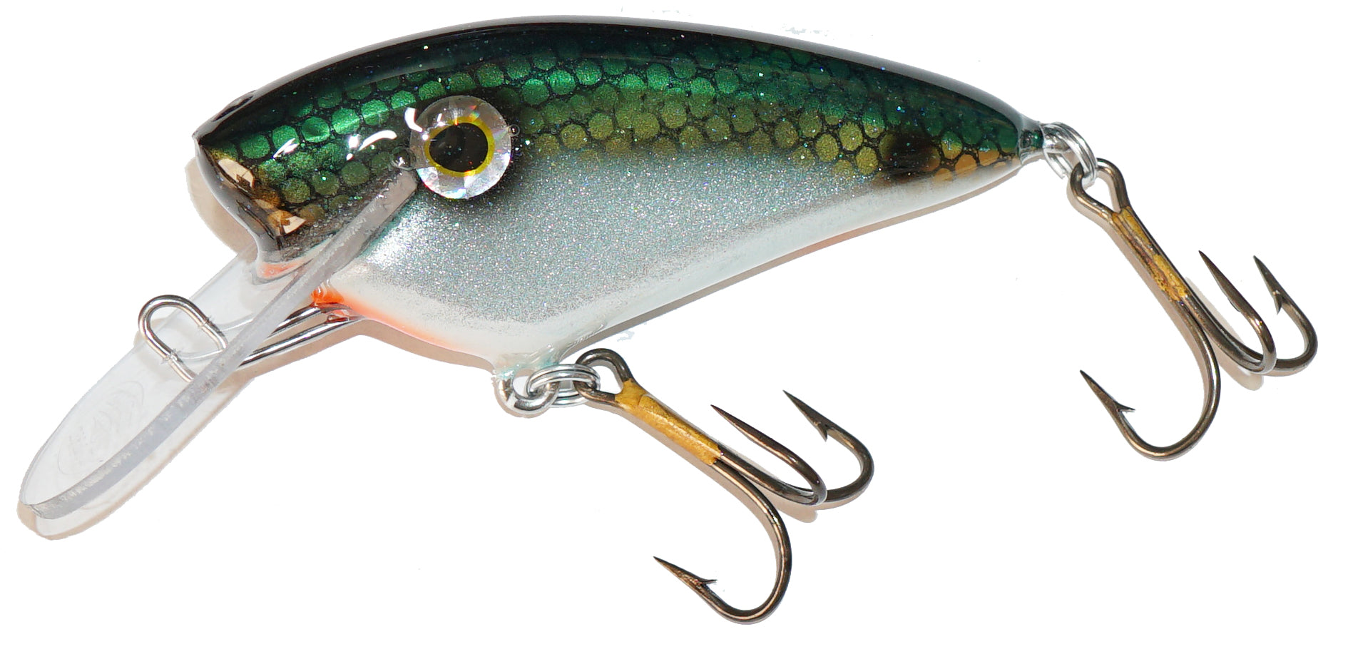 Tenn Shad