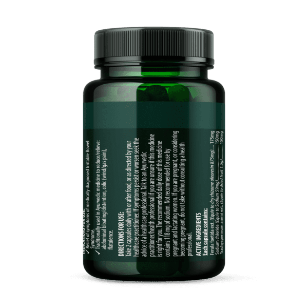 Ayurscience GASNIX - Natural IBS Relief Supplement for Bloating, Gas & Digestive Comfort | Supports Gut Health & Soothes Irritable Bowel Syndrome Symptoms | Perfect for Travel, Stressful Days & Sensitive Stomachs