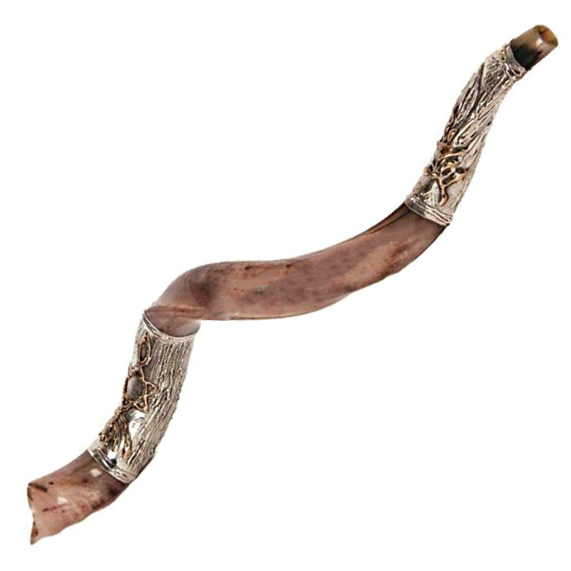 Natural Kosher Silver Plated Yemenite Shofar Kudu Horn - 35-39 Inches (90-99 cm) - Authentic Jewish Religious Ceremonial Instrument for Rosh Hashanah, Synagogue Worship & Spiritual Rituals
