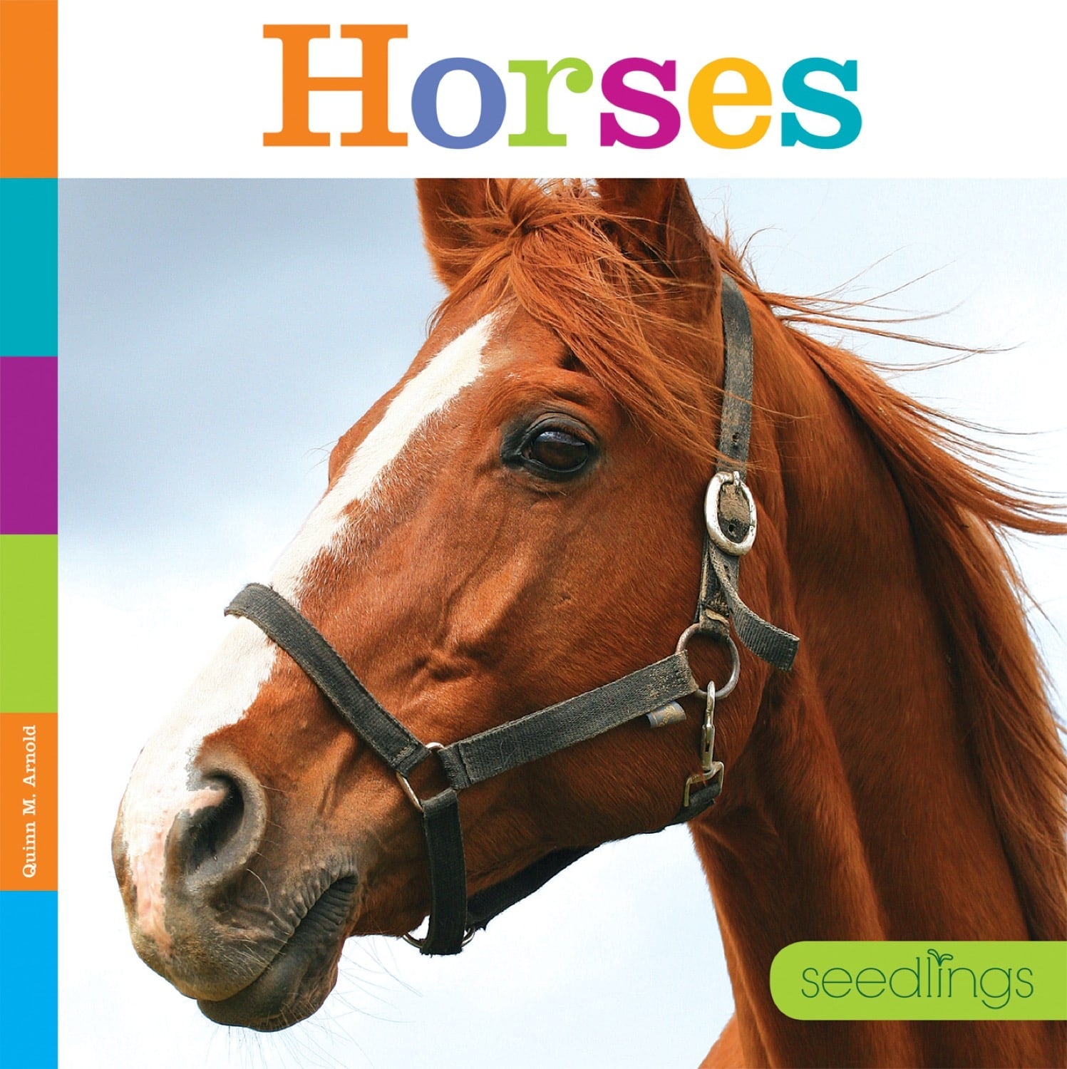Best Selling Book 'Horses' ISBN 9781608187867 - Perfect for Equestrian Enthusiasts & Horse Lovers