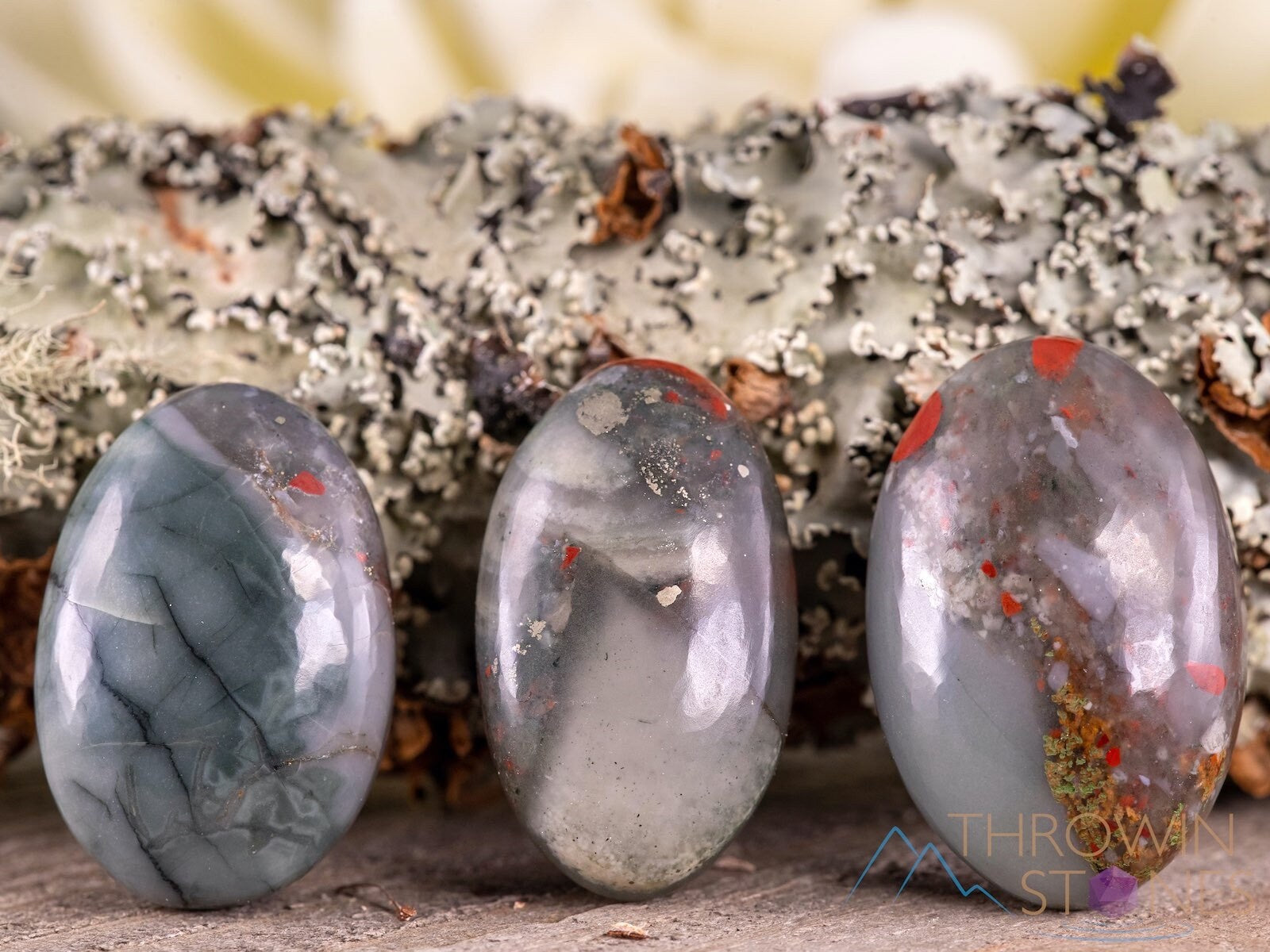 HELIOTROPE BLOODSTONE Crystal Palm Stone - Natural Worry Stone for Anxiety Relief, Self Care & Healing | E1674 | Perfect for Meditation, Stress Relief & Energy Balancing
