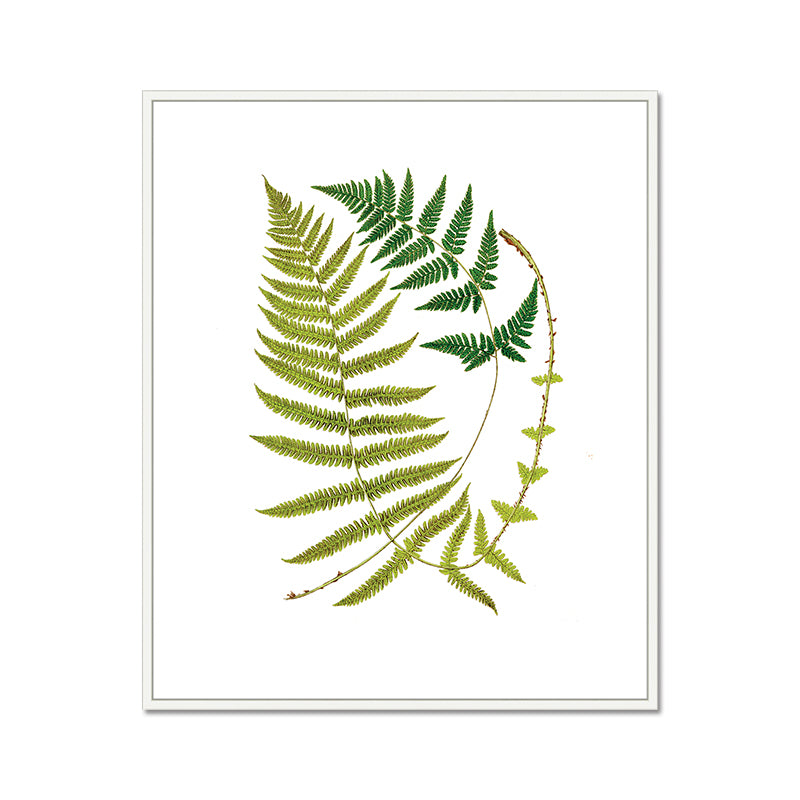 Green Leaves Canvas Print - Modern Plant Art with Floater Frame - Perfect for Living Room, Bedroom & Office Wall Decor