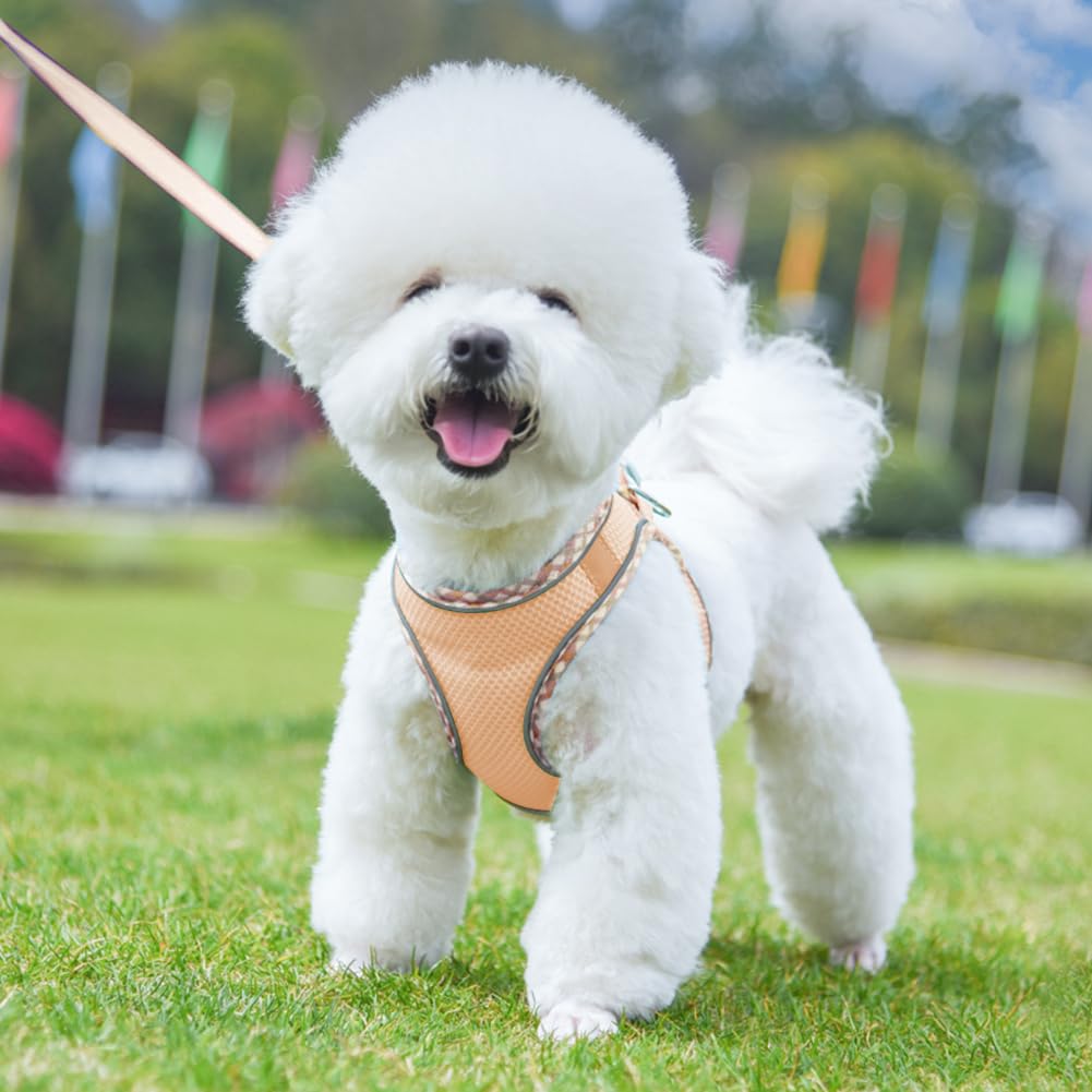 No Pull Adjustable Dog Harness for Small & Medium Dogs - Reflective Breathable Mesh Puppy Harness with Soft Padded Vest & Leash Set (Pink, XS) - Perfect for Walking, Training & Outdoor Adventures