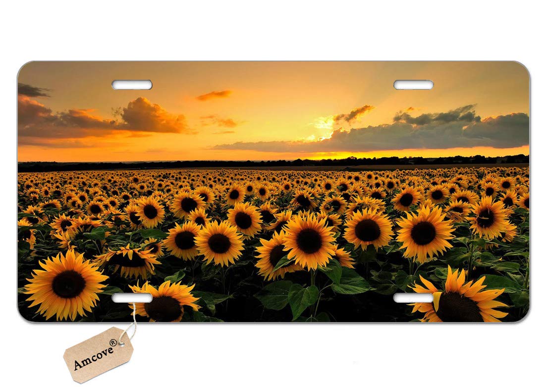 Vintage Sunflowers & Sunsets Metal License Plate - 6x12 Inch Rustic Aluminum Car Tag for Vehicles, Room & Wall Decor - Perfect for Home, Office, Dorm, Garage & Gifts for Women, Men, Teens