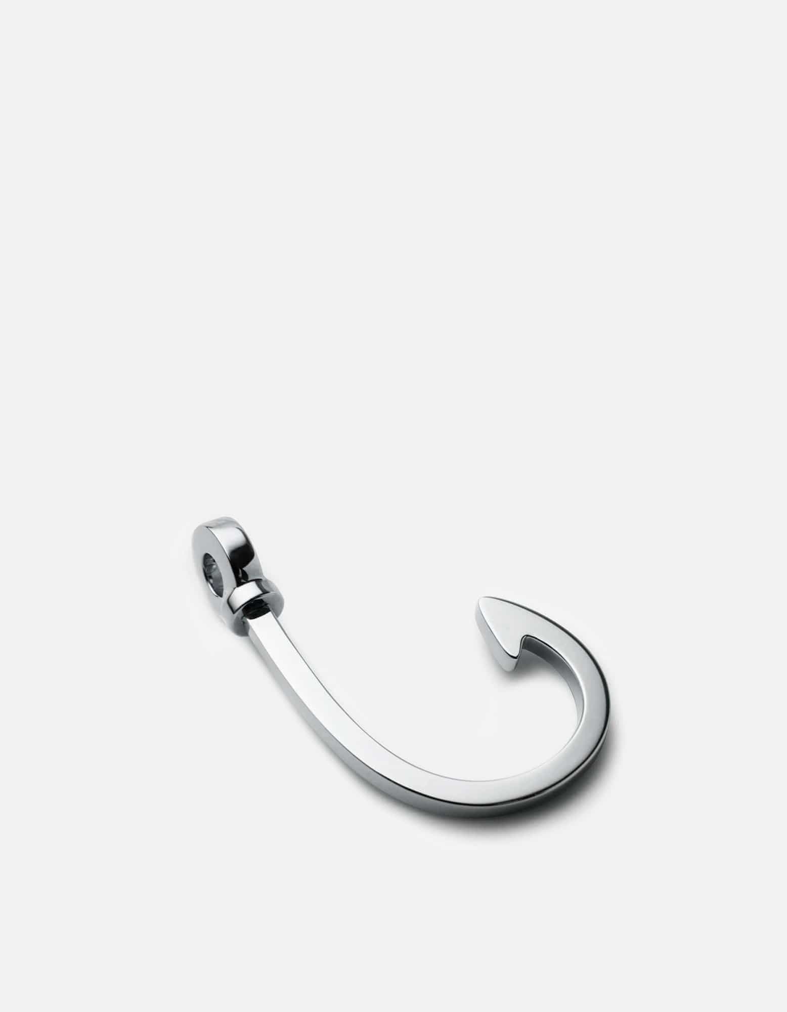 Polished Silver