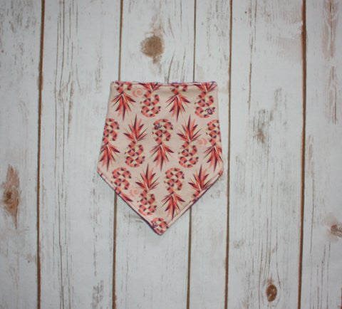 AppleCheeks Inspired Bandana Bibs - Soft & Absorbent Drool Bibs for Babies - Perfect for Feeding, Teething & Everyday Use