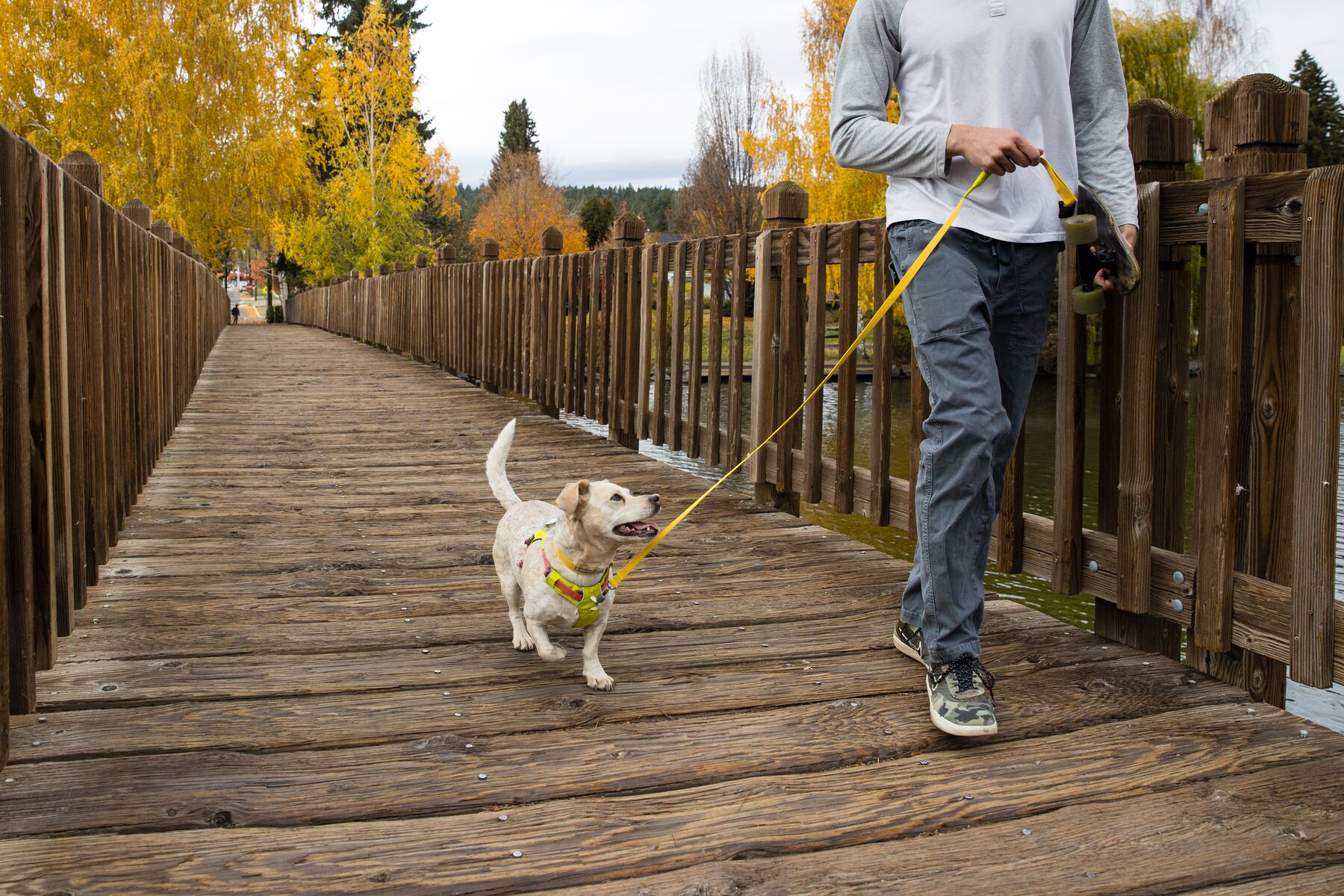 Ruffwear Flagline Harness® - Adjustable Multi-Use Dog Harness in Blue Dusk | Perfect for Hiking, Running & Outdoor Adventures