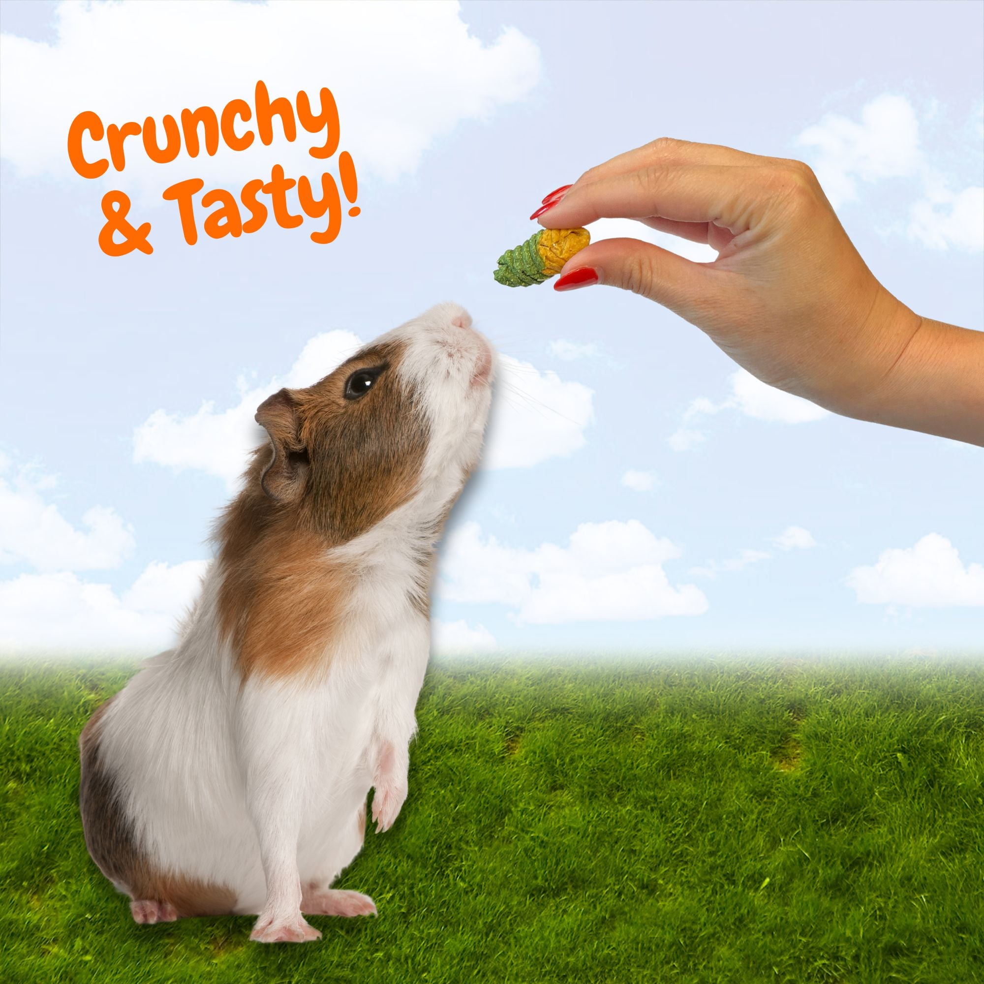 Crunchy Swirls Snacks - Delicious Baked Crispy Swirls for Kids & Adults - Perfect for Parties, School Lunches & On-the-Go Snacking