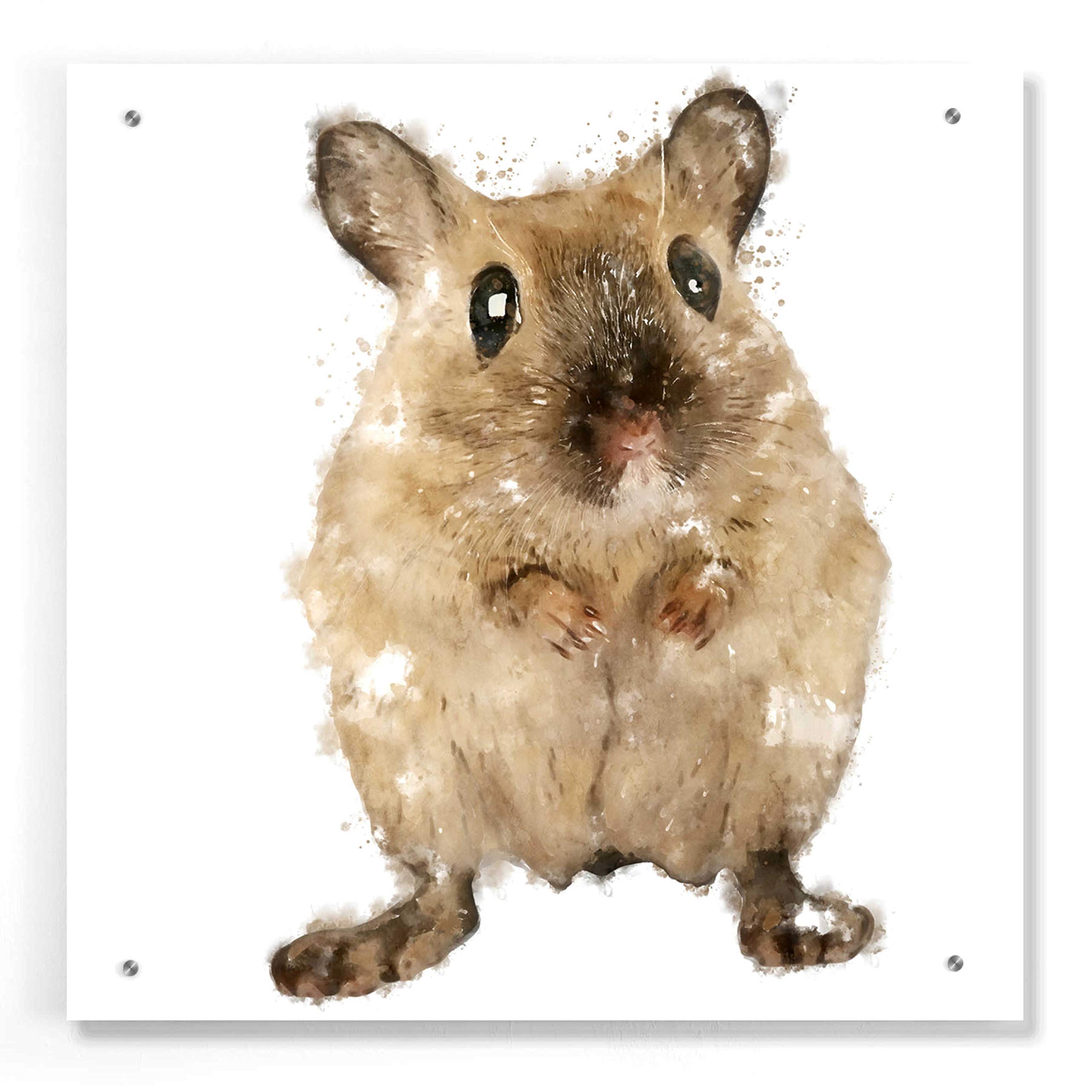 Epic Art 'Curious Mouse' by Kim Curinga - 24x24 Inch Acrylic Glass Wall Decor - Modern Home & Office Artwork - Perfect for Living Room, Bedroom or Gift