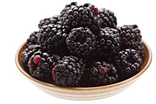 Northwest Wild Foods Fresh Frozen Boysenberries - 9 lbs | Antioxidant-Rich Superfruit for Smoothies, Pies, Jams & Syrups | Healthy Frozen Fruit for Baking, Desserts & Healthy Snacks