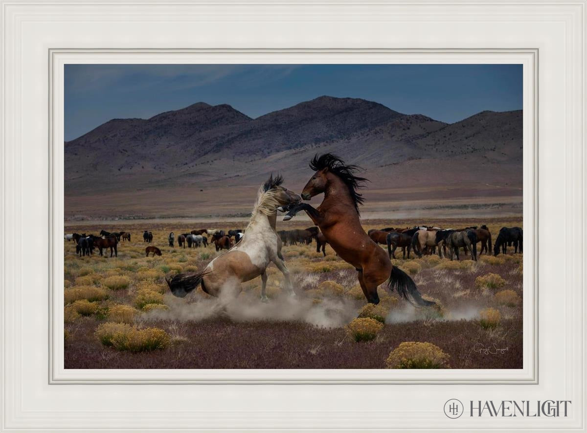 Desert Duel 5 by Greg Sargent - Western Action Novel - Perfect for Book Clubs & Cowboy Adventure Fans