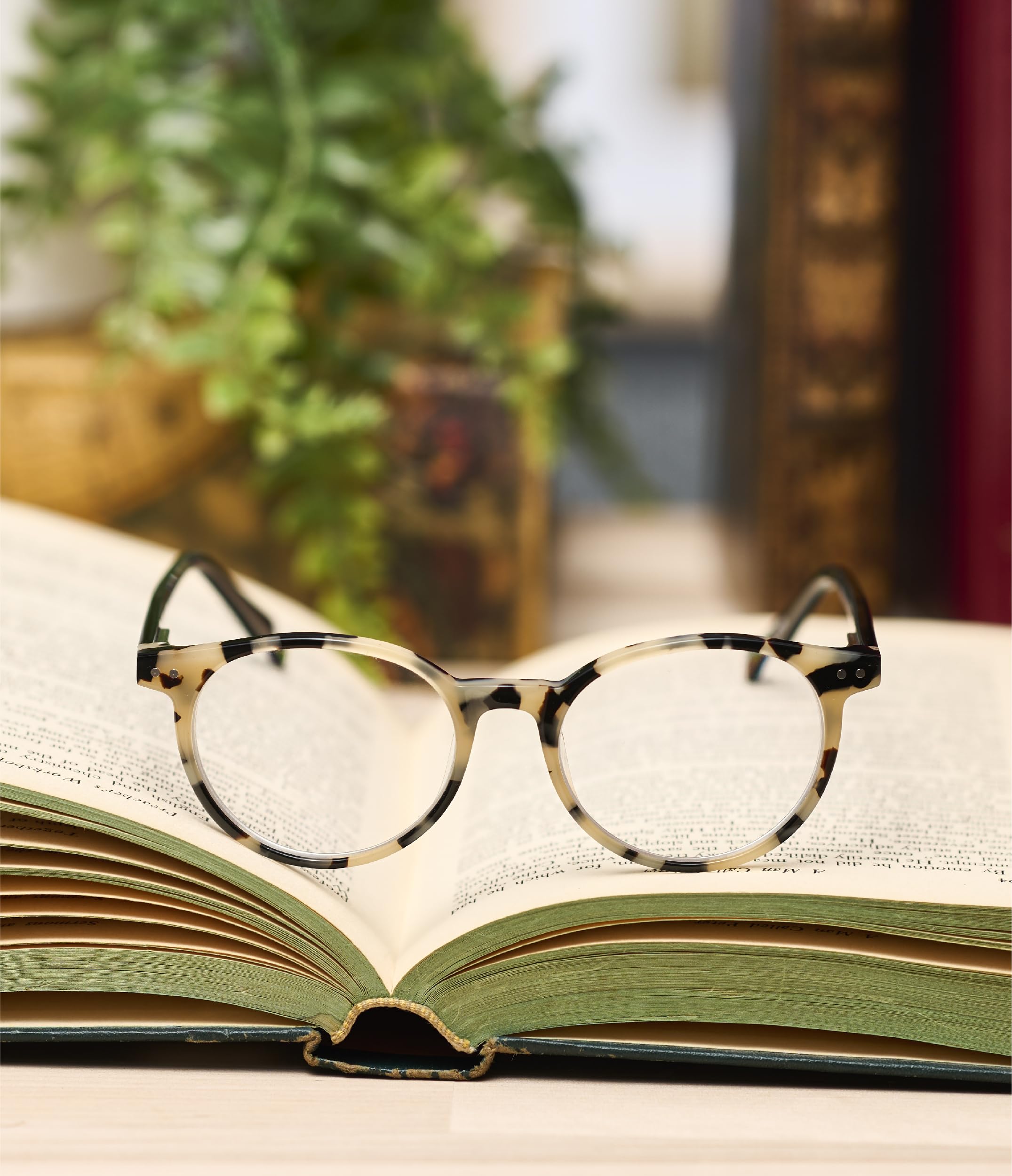 eyebobs Case Closed Premium Reading Glasses for Men and Women | Round Frame for Average Faces | 0.0x to 4.0x Strength | Perfect for Reading, Computer Work & Office Use