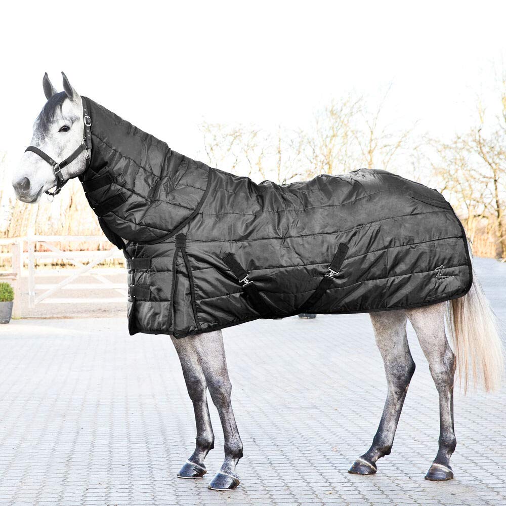 HORZE Nevada Medium Weight 200g Stable Blanket for Horses - Perfect for Cool Weather & Indoor Riding