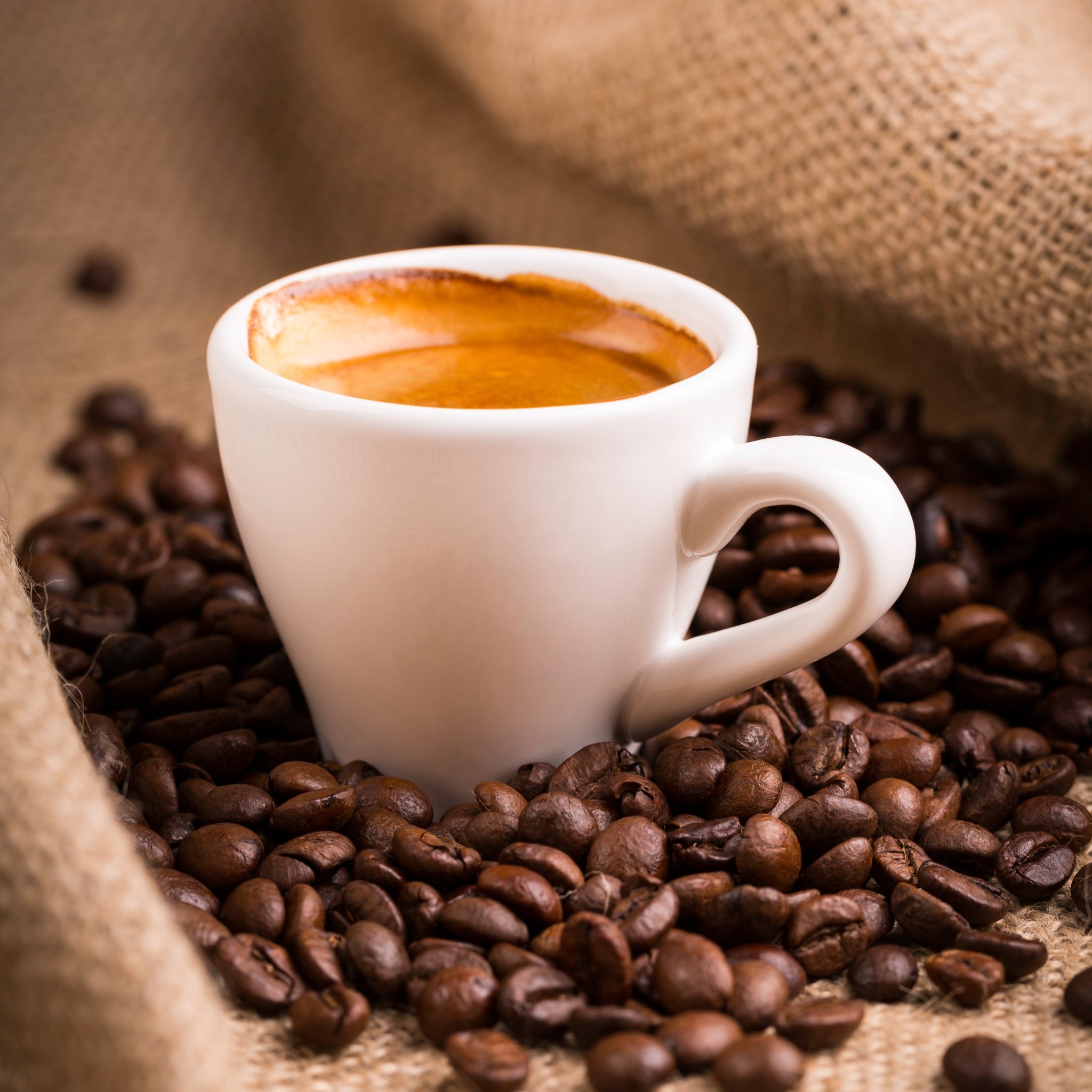 Premium Mocha Espresso Fragrance Oil for Home, Diffuser & Candle Making - Rich Coffee Scent for Aromatherapy & Relaxation
