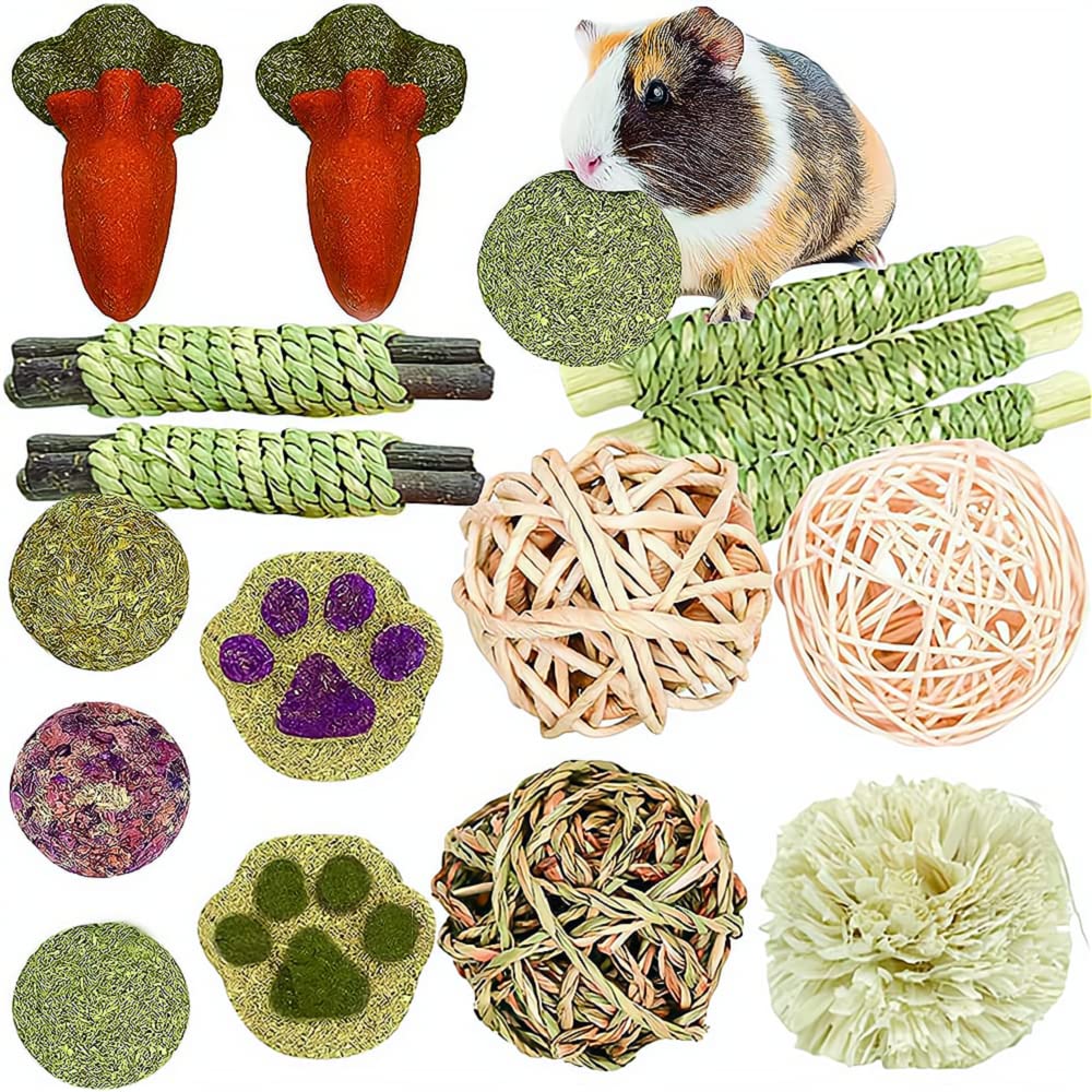 16PCS Small Animal Chew Toys for Hamsters, Guinea Pigs & Rabbits - Dental Care Rolling Balls for Teeth Grinding & Play - Perfect for Cages, Playpens & Exercise Time