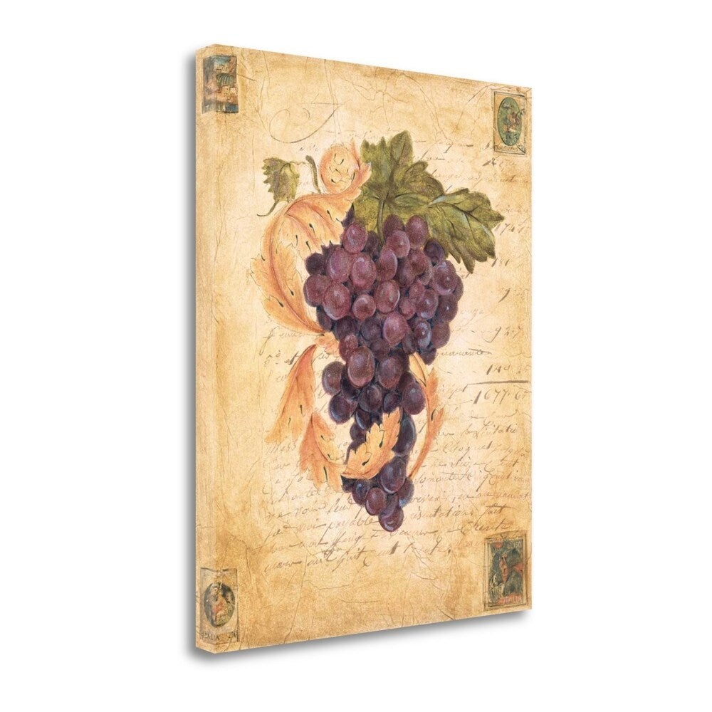 Liz Jardine 'A Rich Harvest II' Fine Art Giclee Print on Gallery Wrap Canvas - Ready to Hang Wall Decor for Living Room, Bedroom & Office