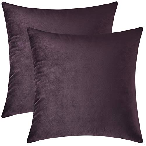 Deep Plum